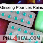 Ginseng For Kidney 29